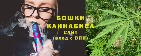 эйфоретик Бородино